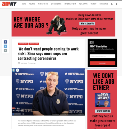 Web Screen Mockup