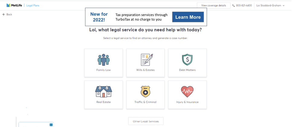 Web Screen Mockup